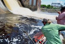 Fly Fishing Rod Weight, Action, and Flex Explained