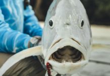 DESTINATIONS: Fishing the Cocos (Keeling) Islands