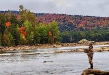 Why the Rangeley area could remain an oasis for cold water fish as their habitat warms
