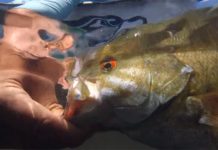 Video: “Desert Drift” Trailer by Todd Moen