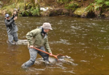 Video Pro Tips: How to Properly Net a Big Fish