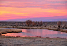 Wednesday Wake-Up Call 02.09.22 – Orvis News