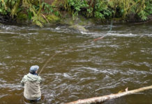 Video Pro Tips: How to Target Steelhead Around Boulders