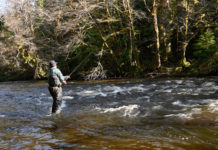 Video Pro Tips: Spey-Casting Around Obstacles – Orvis News