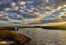 Fly Fishing the St. Johns Shad Run