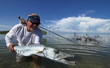 Fish Facts: Grand Barracuda (Sphyraena barracuda)