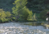 Where to buy a Colorado fishing license