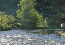 Where to buy a Colorado fishing license