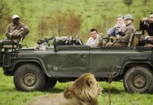 The 4 types of vacations that may be hard to book in 2022