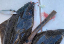 Spring gear-up for the season of fishing around Vancouver Island – Campbell River Mirror