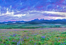 Wednesday Wake-Up Call 03.16.22 – Orvis News