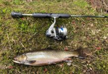 Spring brook trout fishing is a simple but intoxicating experience