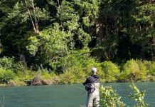 A weekend on the Olympic Peninsula | Magazine