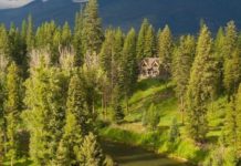 Montana land sales skyrocket to new highs in 2021 | National News