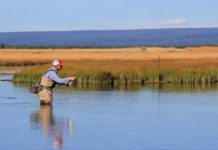 The Idaho Foundation for Parks and Lands: The Origin Story |