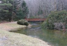 Naturally Speaking: A column by Mark Nale | News