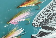 North Country Angling: Big fish eat little fish | Fishing