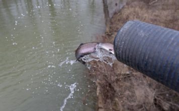 Increased trout stocking brings great fishing to Floyds Fork Creek | Community Sports