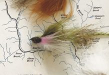 North Country Angler: Hope springs eternal | Fishing