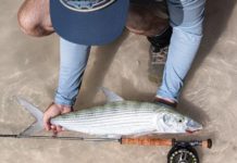 Films to celebrate fly fishing | News