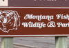 New smartphone app allows Montana hunters, anglers to carry licenses on phone | ABC Fox Butte