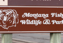 New smartphone app allows Montana hunters, anglers to carry licenses on phone | ABC Fox Butte