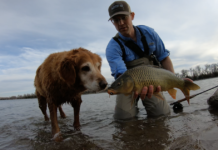 Mackenthun: Web sight offers opportunity save fish tales | Local Sports