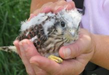 Natural Resources Foundation of Wisconsin hosts field trips