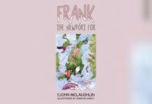 Adventures of a Fox Family