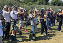 Bird watching: A fly-by-night business worth more than $300M in NJ