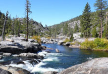 Through the past brightly – The Morning Sun