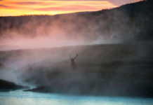 Lawsuit Filed Against USFWS as Public Lands Battle Heats Up