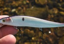 White bass watershed