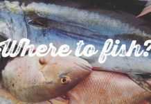 WHERE TO FISH: Let’s go to the Florida Keys! | BDOutdoors