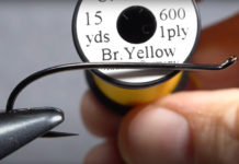 Video: How to Create a Brighter Floss Body