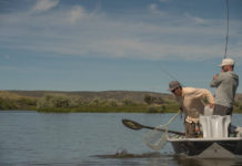 Top 3 Flies for Spring on the North Platte