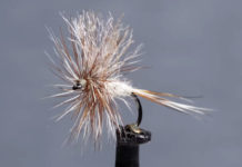 Video: How to Tie the EP Adams