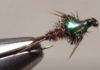 Video: How to Tie a Flashback Pheasant-Tail Nymph