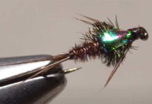 Video: How to Tie a Flashback Pheasant-Tail Nymph