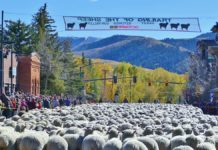 There’s lots to do during the Trailing of the Sheep Festival in Idaho