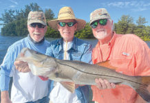 Fish plentiful. So keep what you need to keep it that way