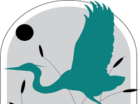 All about shad – Fredericksburg Today