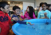 World Water Day will be celebrated by the Watershed Institute