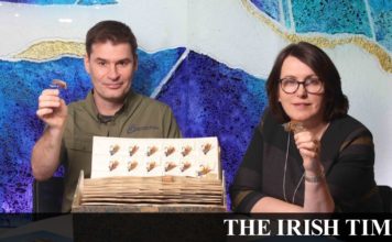 Traditional Irish salmon flies to feature in new historical picture book