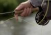 Learn How to Fly Fish With the Far Bank Online Fishing School
