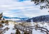 Why You Should Visit Yellowstone National Park in Winter