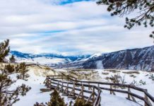 Why You Should Visit Yellowstone National Park in Winter