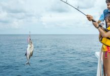 Interactive Epicurean Adventures Are on the Rise