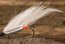 Video: Top 5 Flies for Great Lakes Steelhead