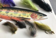 Salomone: M&M’s for leeches | VailDaily.com